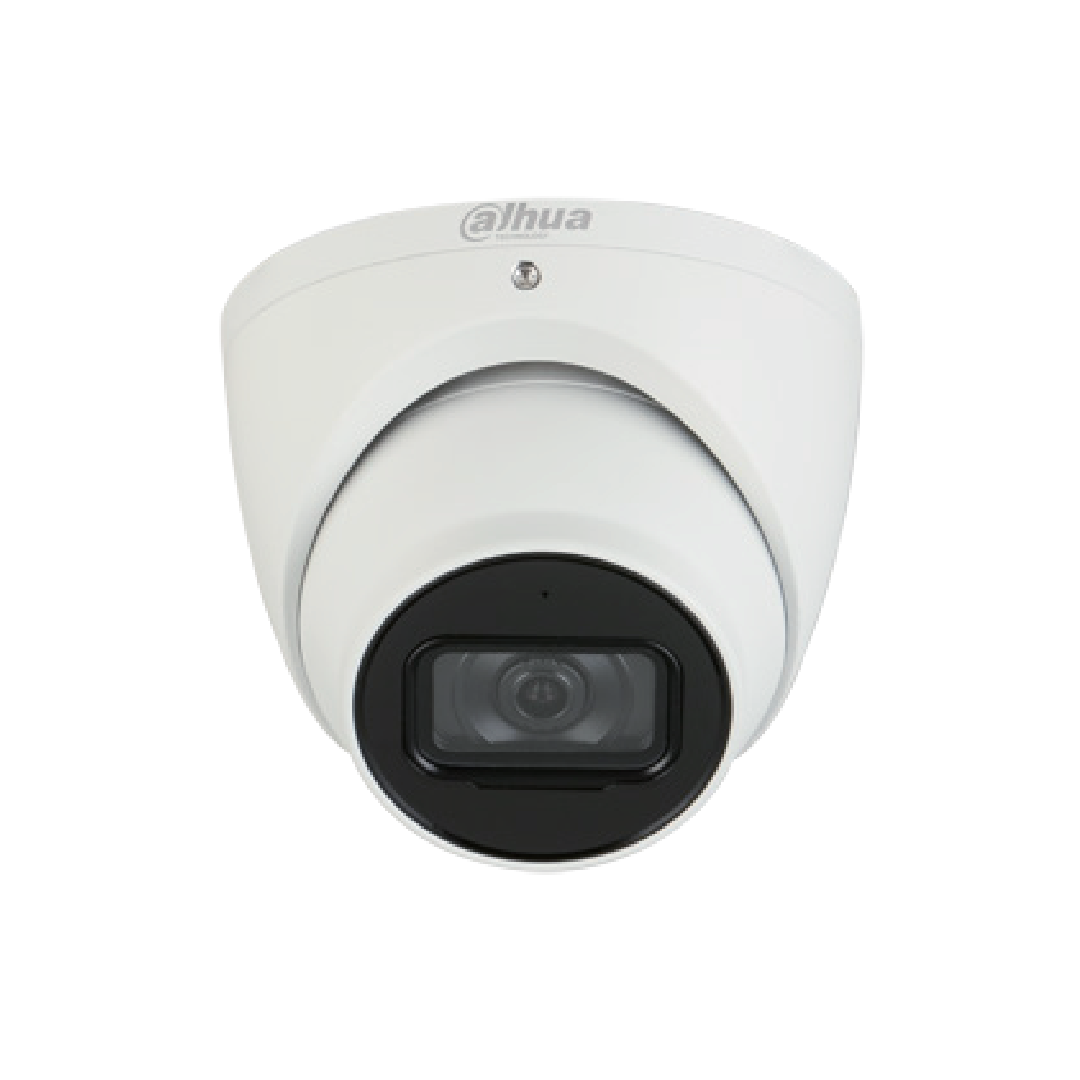 2mp wdr ir eyeball wizmind network camera